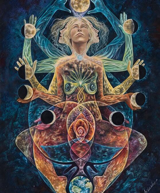 De Womb: matrix voor materie