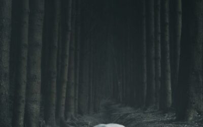 Samhain & de Onderwereld